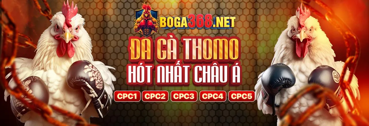 Đá gà kịch tính tại 88xx tải app